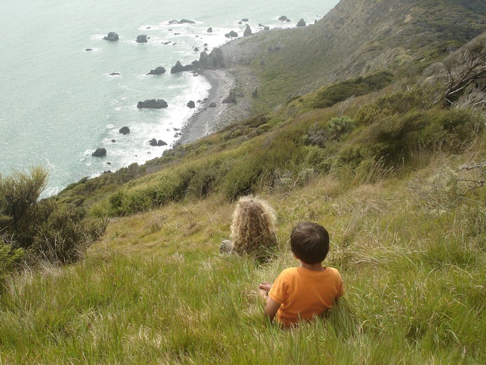 Twee kinderen kijken vanaf een heuvel op de kust van Kapiti Island
