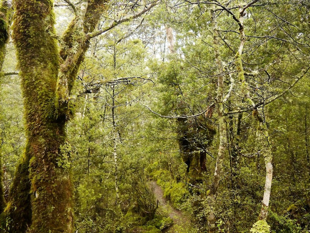 Hiking through Fiordland National Park | New Zealand active holiday