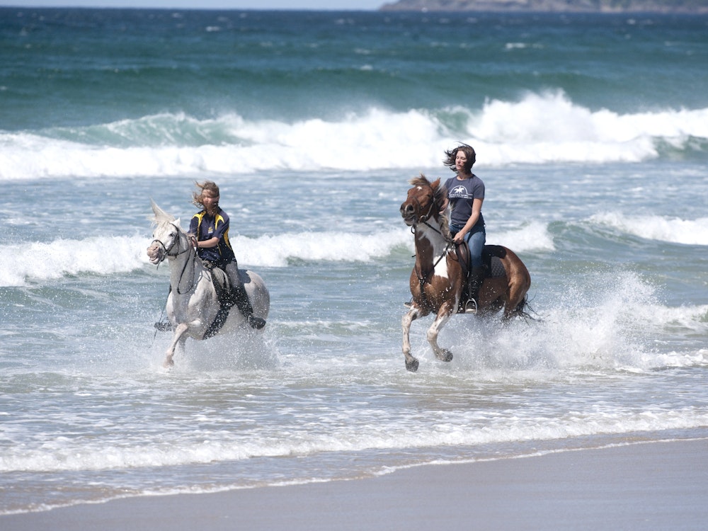 Horse riding along rugged beaches | New Zealand active holiday