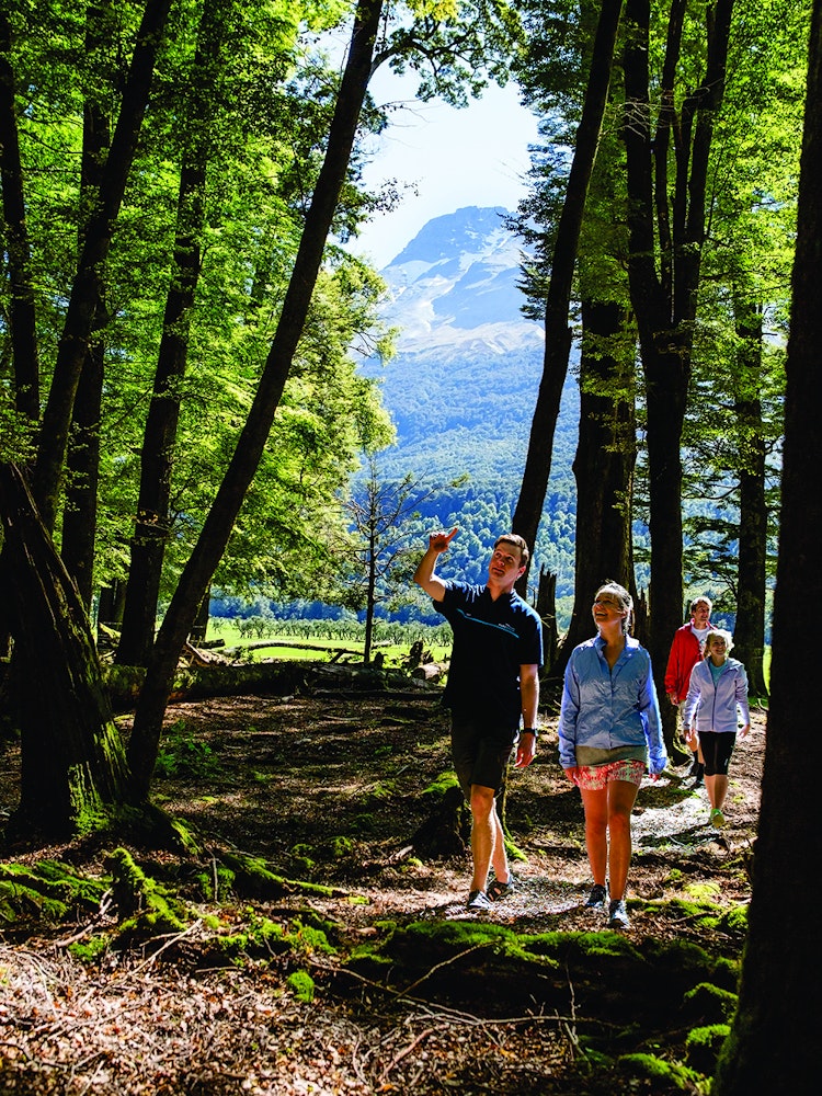 Een familie loopt door de bossen in Nieuw-Zeeland