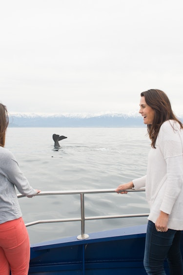 Nz kaikoura whale watching boat people family see and do easy going