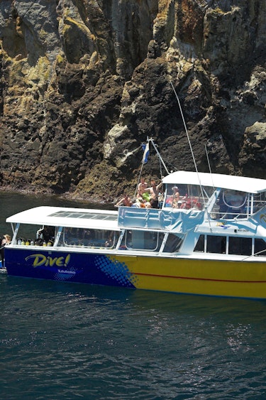 Nz poor knights islands boat view family see and do active