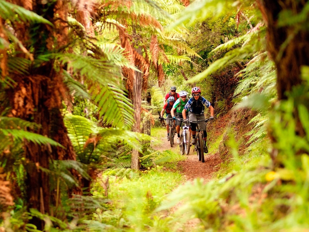Mountainbiken in het bos langs de Tongariro River Trail