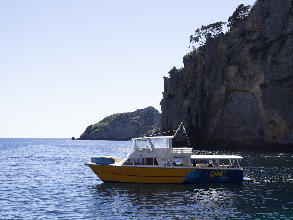 Discover the underwater world of the Poor Knights Islands | New Zealand holiday