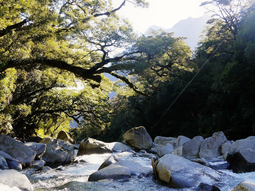 Fiordland National Park is named on the UNESCO World Heritage List