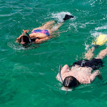 Twee mensen snorkelen in de Bay of Islands in Nieuw-Zeeland