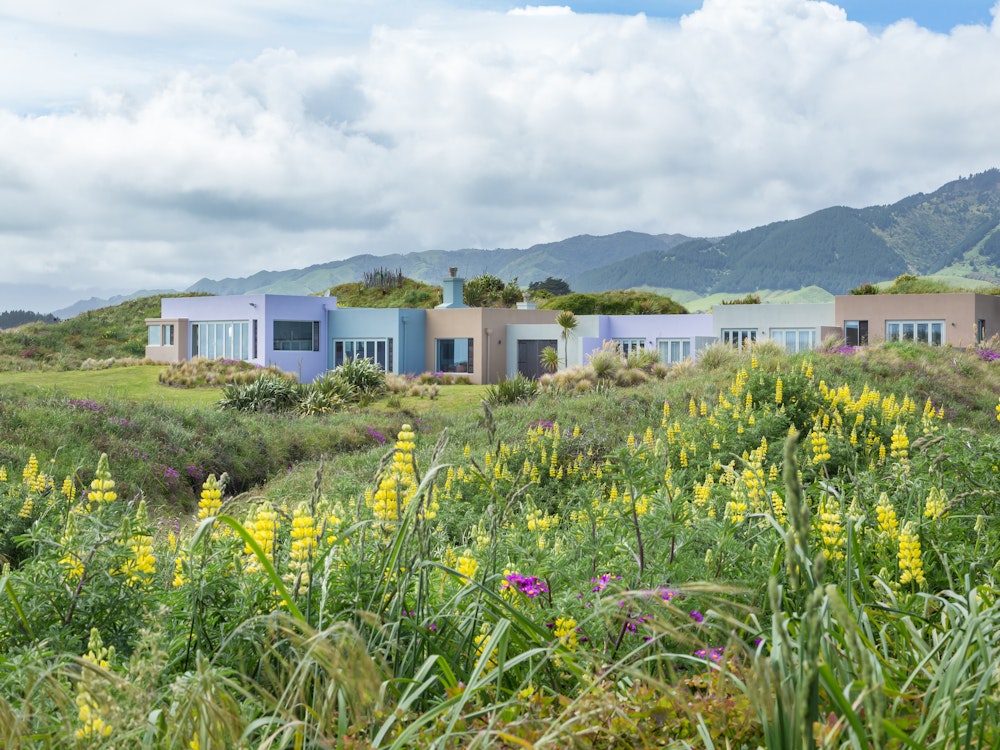 Gekleurde huisjes in het landschap aan de Kapiti Coast
