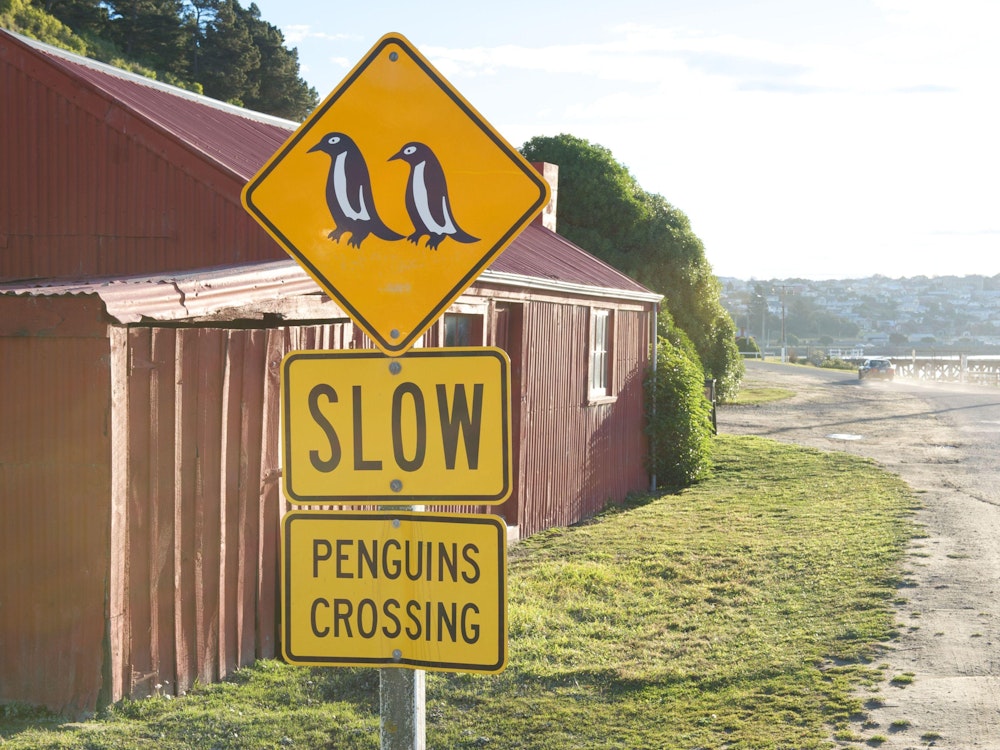 Een verkeersbord dat rijders erop wijst dat zij moeten uitkijken voor pinguïns bij de Otago Peninsula!