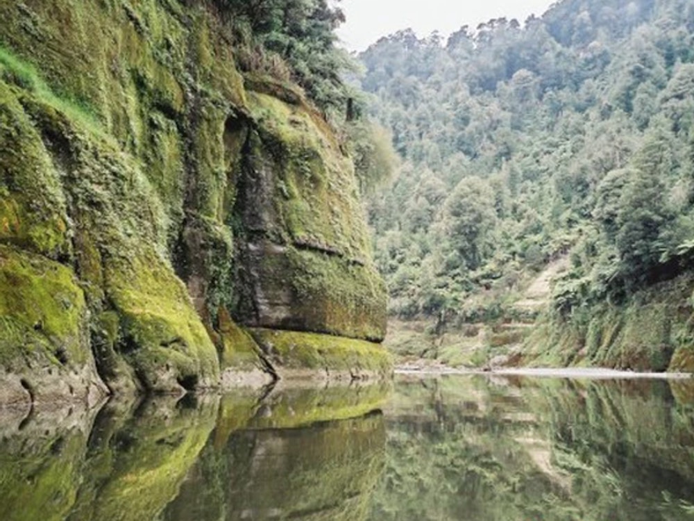 Glasklare Aussichten auf dem Whanganui Fluss