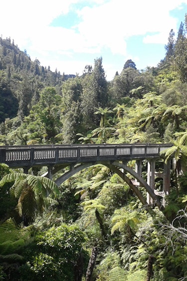 Neuseeland Whanganui Nationalpark