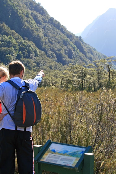 nz-south-fiordland national park- milford track day walk 2 solo active