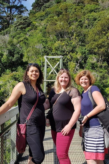 Nz inga and friends swing bridge client review