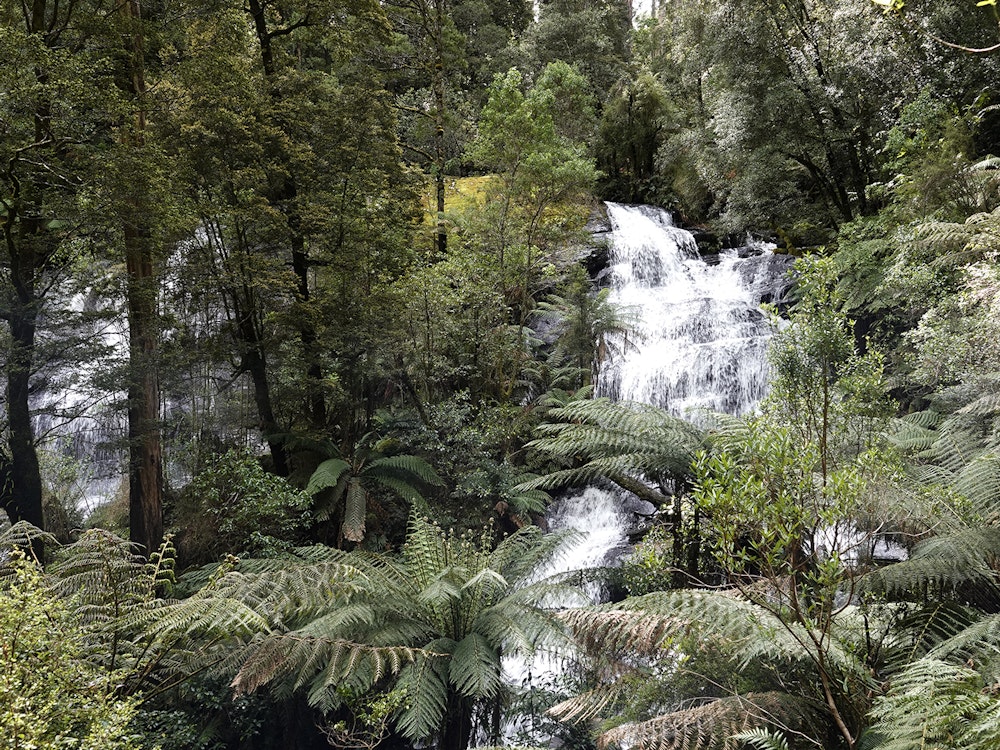Watervallen en bossen in het zuiden van Australië